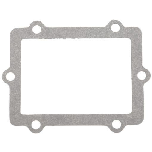 POLARIS (VERTEX WINDEROSA ) - ADMISSION REED GASKET - 301672