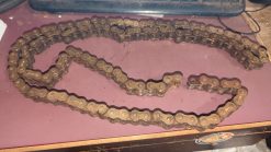 1997 Suzuki Marauder VZ800 CHAIN ASSY