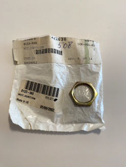 1979-2002 - ARCTIC CAT - IGNITION NUT - (0123-900)