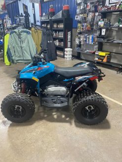 Alternative view of 2024 CAN-AM 110cc