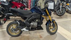2023 Kawasaki Z125