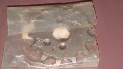 1981 - 1983 Honda ATC70 /TRX70 Fourtrax TRX90 / X TRX125 ATC185 SPROCKET