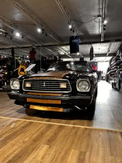 1978 Ford Mustang 302 5 Speed