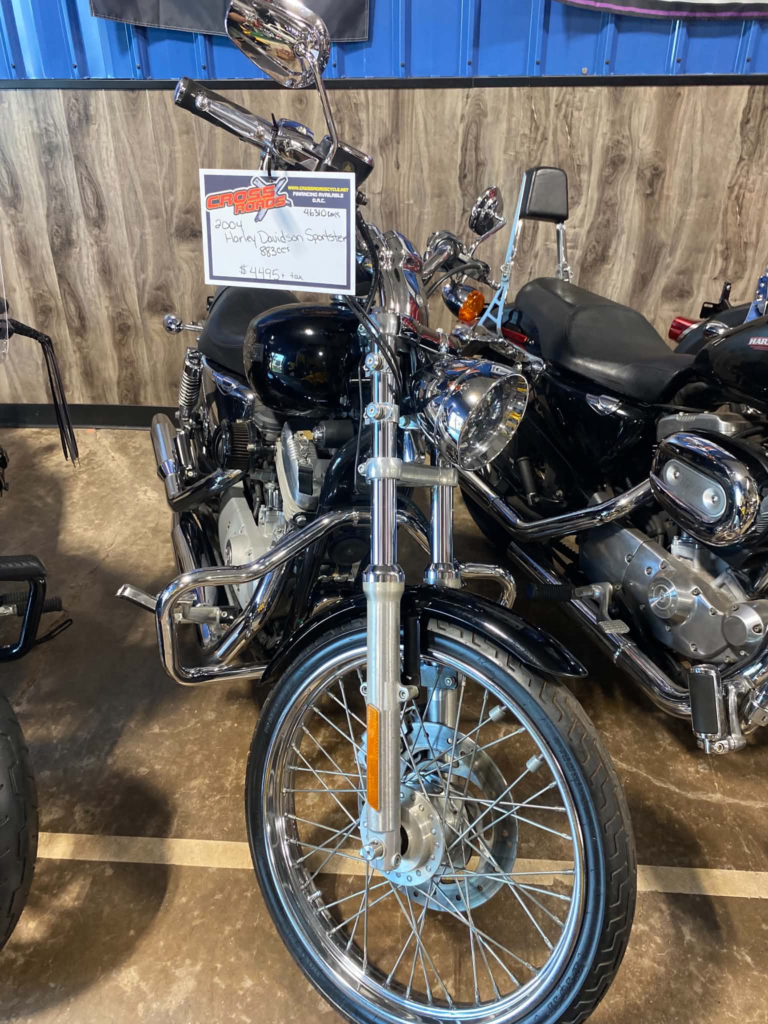 2004 Harley Davidson Sportster 883 - Image 7
