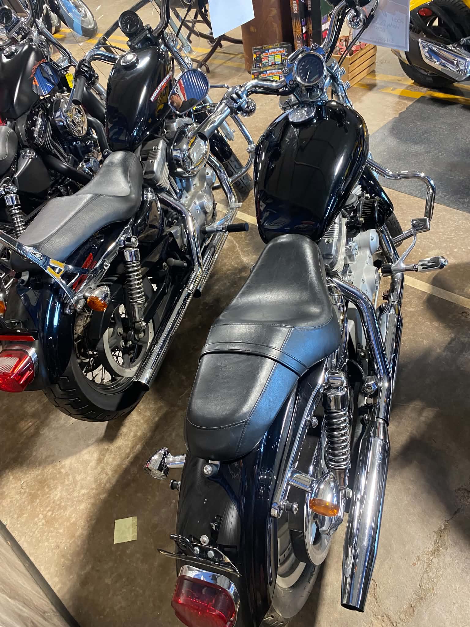 2004 Harley Davidson Sportster 883 - Image 3
