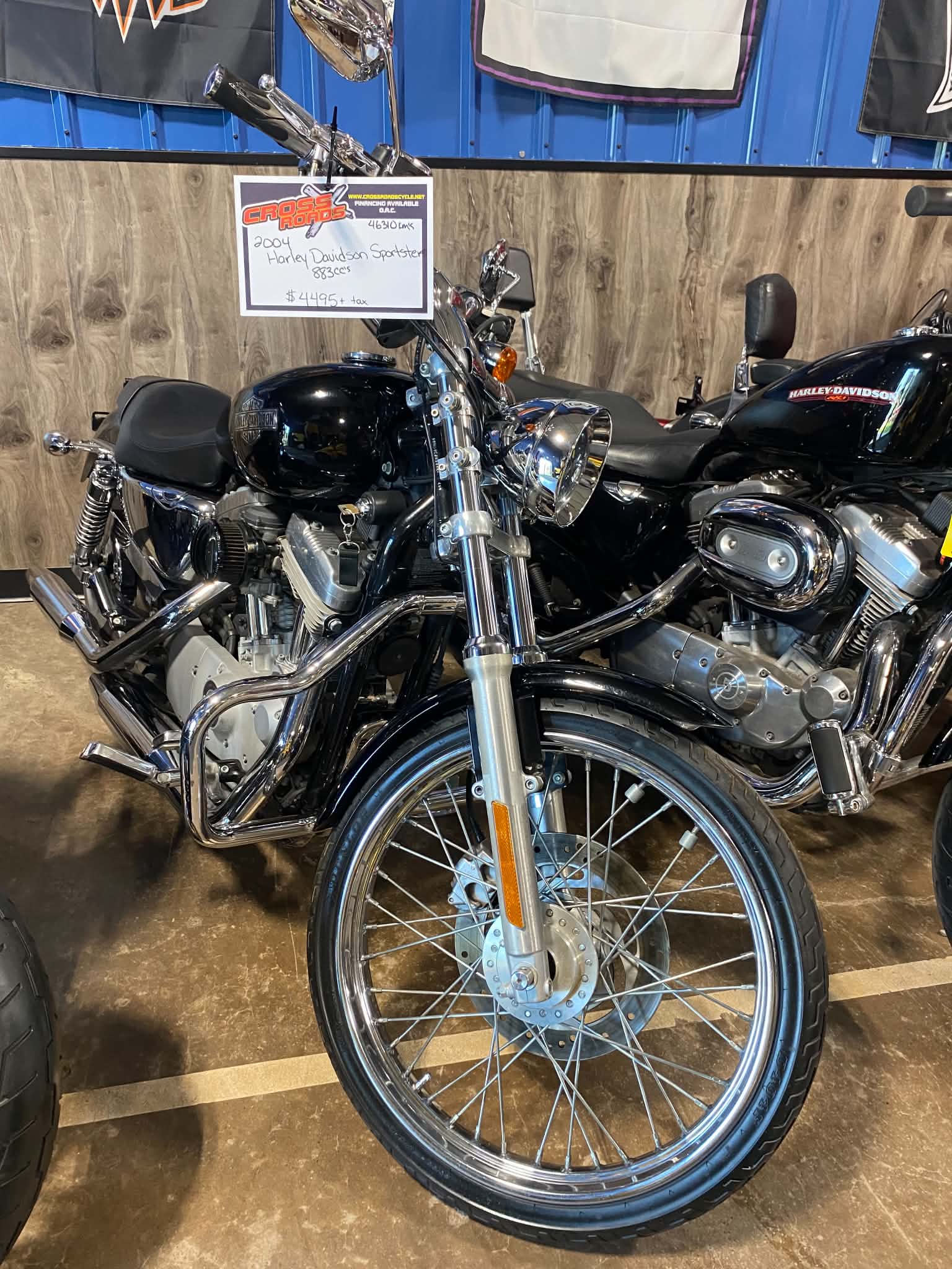 2004 Harley Davidson Sportster 883 - Image 5