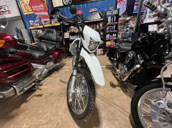 2023 Honda XR 150 - Image 3