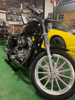 2006 Harley Davidson Sportster 883 - Image 2
